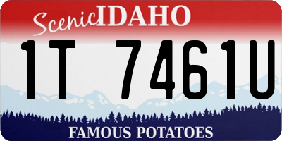 ID license plate 1T7461U