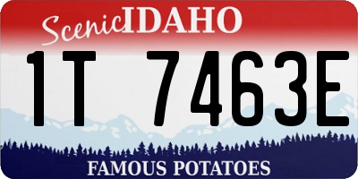 ID license plate 1T7463E
