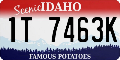 ID license plate 1T7463K