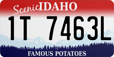 ID license plate 1T7463L