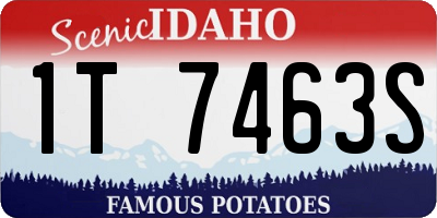 ID license plate 1T7463S
