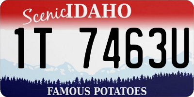 ID license plate 1T7463U