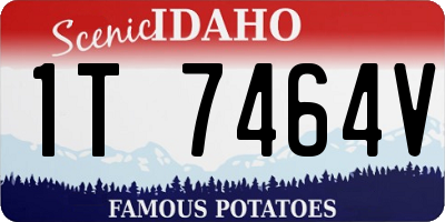 ID license plate 1T7464V