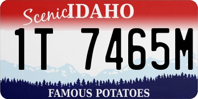 ID license plate 1T7465M