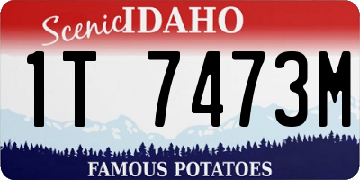 ID license plate 1T7473M