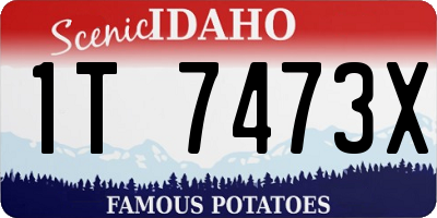 ID license plate 1T7473X