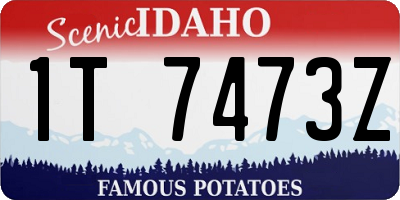 ID license plate 1T7473Z