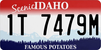 ID license plate 1T7479M