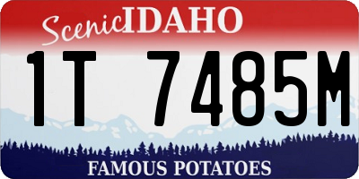 ID license plate 1T7485M