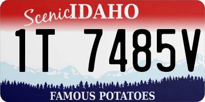 ID license plate 1T7485V