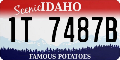 ID license plate 1T7487B