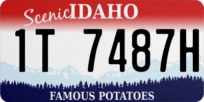 ID license plate 1T7487H