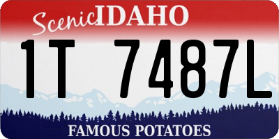 ID license plate 1T7487L