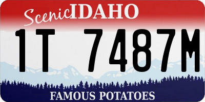 ID license plate 1T7487M