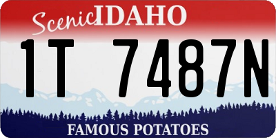 ID license plate 1T7487N