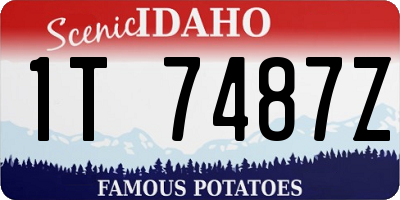 ID license plate 1T7487Z