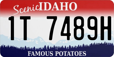 ID license plate 1T7489H