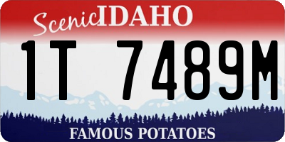 ID license plate 1T7489M