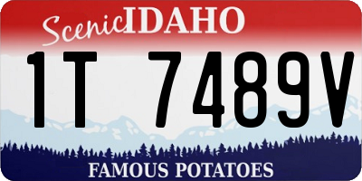 ID license plate 1T7489V