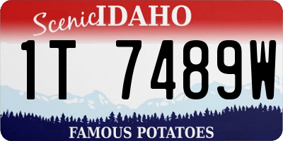ID license plate 1T7489W