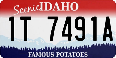 ID license plate 1T7491A