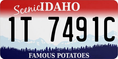 ID license plate 1T7491C