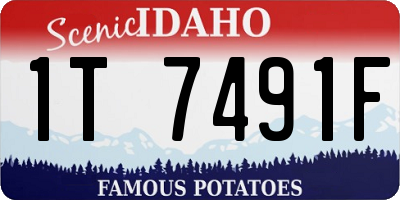 ID license plate 1T7491F