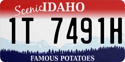 ID license plate 1T7491H