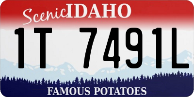 ID license plate 1T7491L