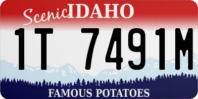 ID license plate 1T7491M