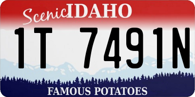 ID license plate 1T7491N