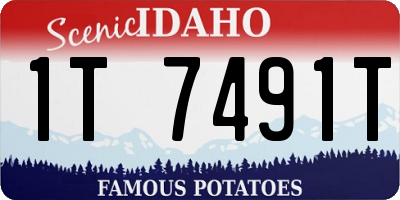 ID license plate 1T7491T