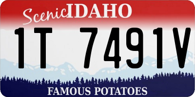 ID license plate 1T7491V