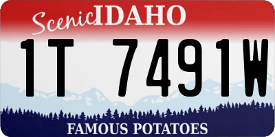 ID license plate 1T7491W