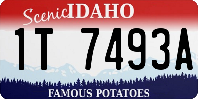 ID license plate 1T7493A