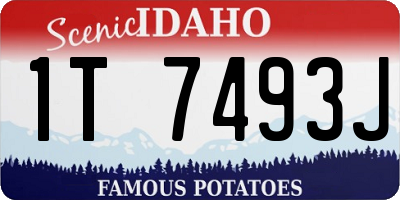 ID license plate 1T7493J