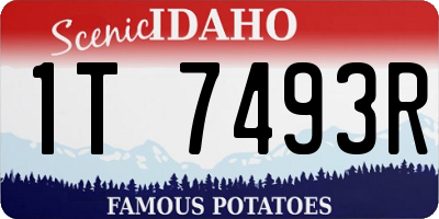 ID license plate 1T7493R