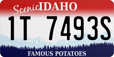 ID license plate 1T7493S