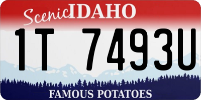 ID license plate 1T7493U