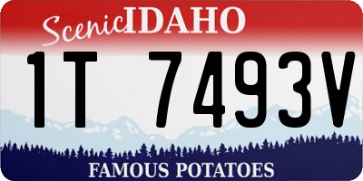ID license plate 1T7493V