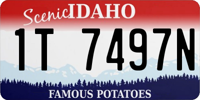 ID license plate 1T7497N