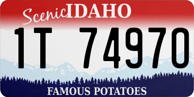 ID license plate 1T7497O