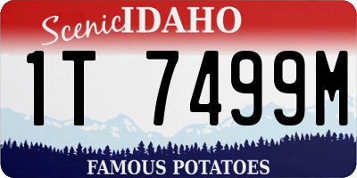 ID license plate 1T7499M