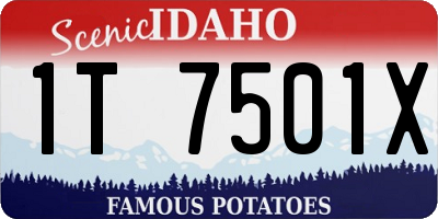 ID license plate 1T7501X