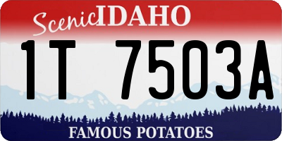 ID license plate 1T7503A