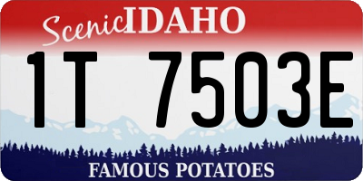 ID license plate 1T7503E