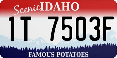 ID license plate 1T7503F
