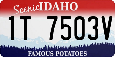 ID license plate 1T7503V