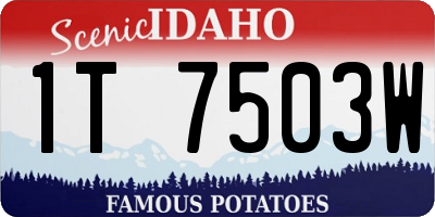 ID license plate 1T7503W