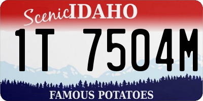 ID license plate 1T7504M